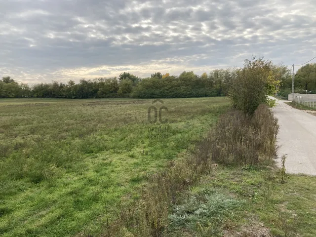 Eladó telek Kecskemét, Belsőnyír 22885 nm
