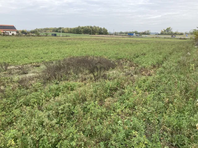 Eladó telek Kecskemét, Belsőnyír 26000 nm