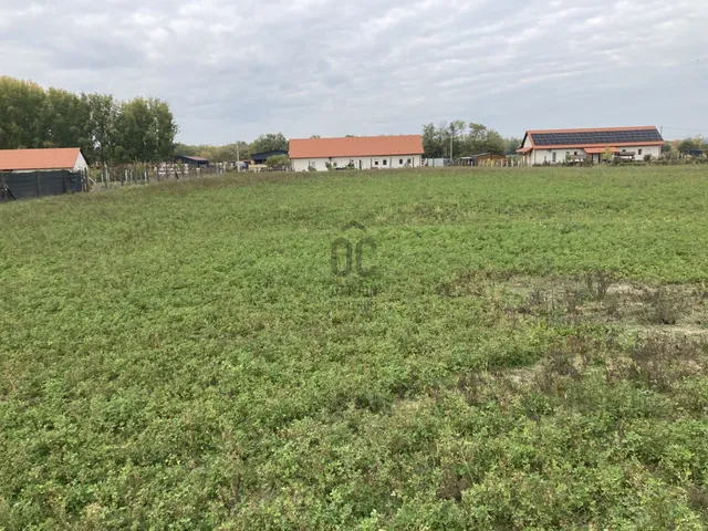 Eladó telek Kecskemét, Belsőnyír 26000 nm