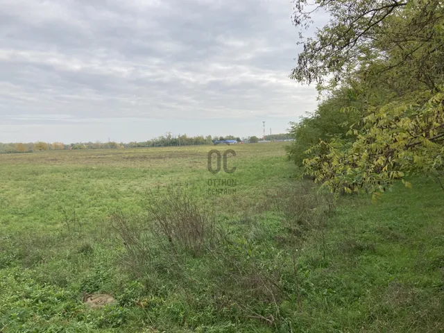 Eladó telek Kecskemét, Belsőnyír 24450 nm