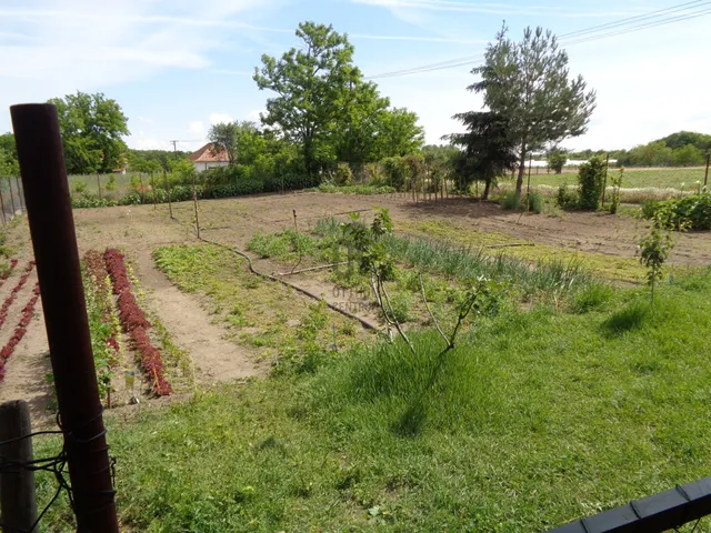 Eladó mezőgazdasági ingatlan Kiskunfélegyháza 90 nm