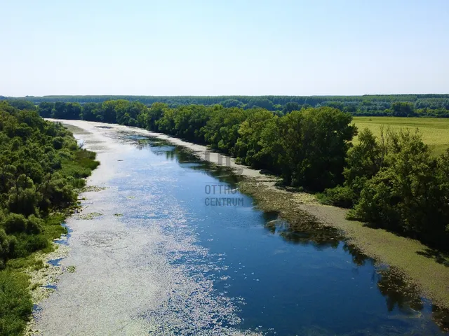 Eladó mezőgazdasági ingatlan Tiszaalpár 163952 nm