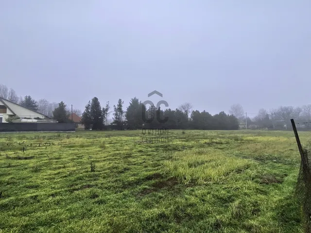Eladó telek Kecskemét, Felsőszéktó, 10. utca 1866 nm