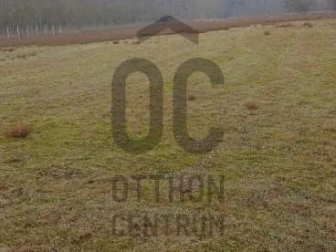 Eladó telek Kecskemét, Hetényegyháza 13000 nm