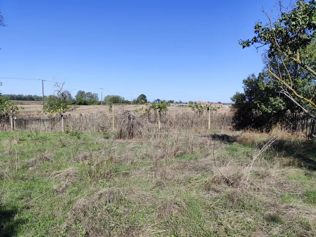 Eladó mezőgazdasági ingatlan Városföld 55000 nm