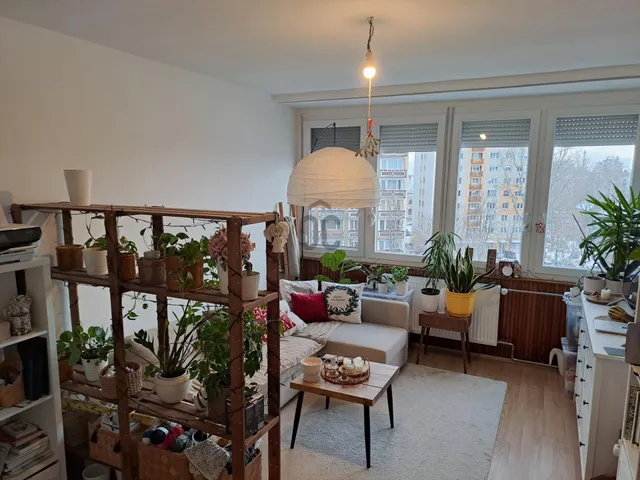 Eladó lakás Kecskemét, Belváros 50 nm