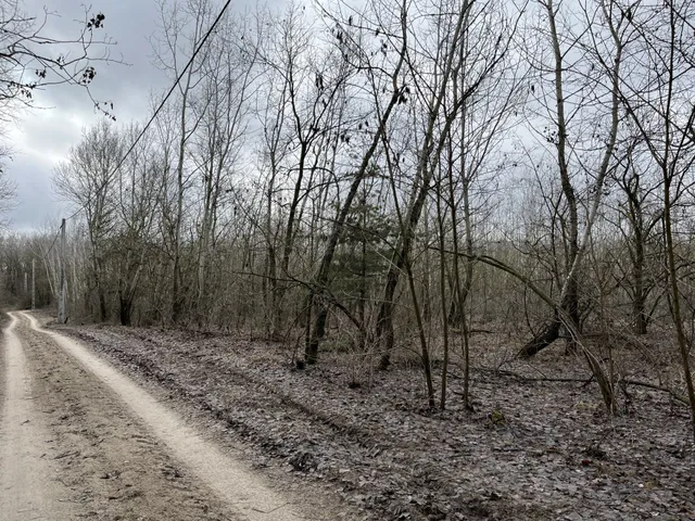 Eladó telek Orgovány 32328 nm