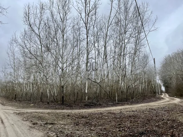 Eladó telek Orgovány 32328 nm