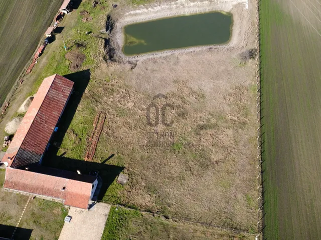 Eladó ház Tiszaalpár 328 nm