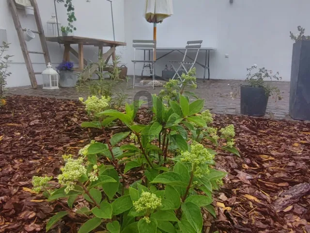 Eladó ház Jakabszállás 60 nm