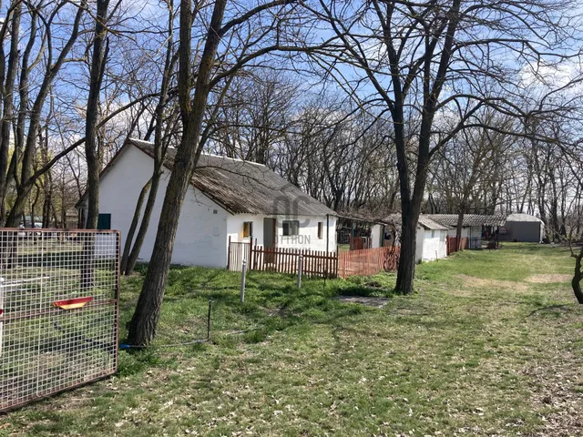 Eladó telek Lajosmizse 50 nm