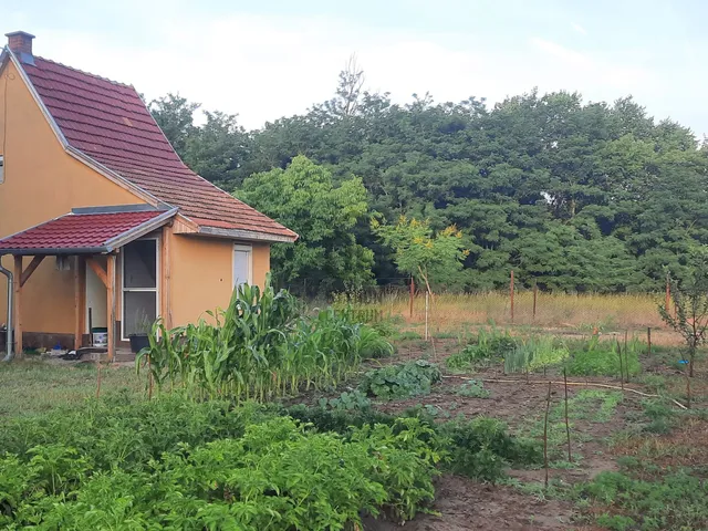 Eladó telek Kecskemét, Kisfái 1500 nm