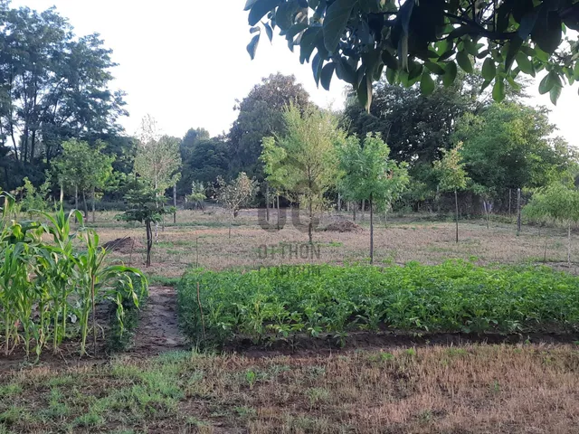 Eladó telek Kecskemét, Kisfái 1500 nm