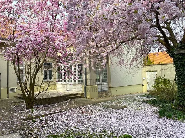 Kiadó ház Kecskemét, Belváros 160 nm