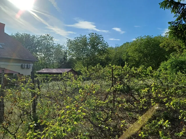 Eladó telek Kecskemét, Felsőszéktó 2776 nm