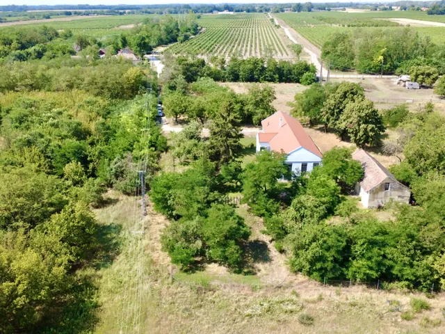 Eladó ház Tiszaalpár 144 nm