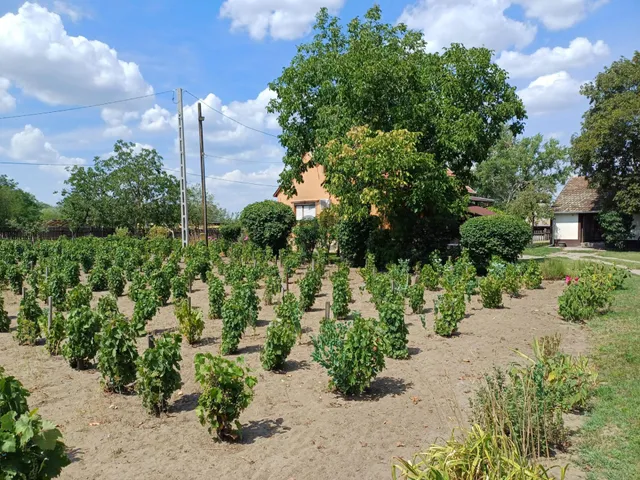 Eladó ház Kecskemét, Szolnokihegy 80 nm