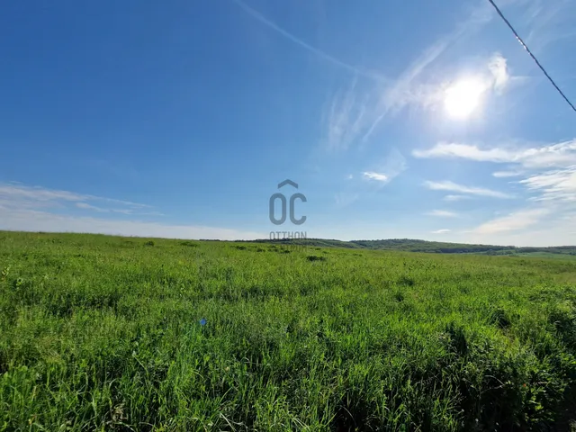 Eladó mezőgazdasági ingatlan Őrbottyán 11340 nm