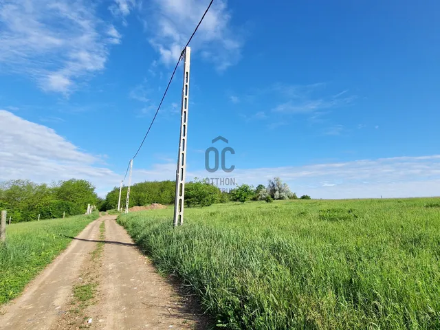 Eladó mezőgazdasági ingatlan Őrbottyán 11340 nm