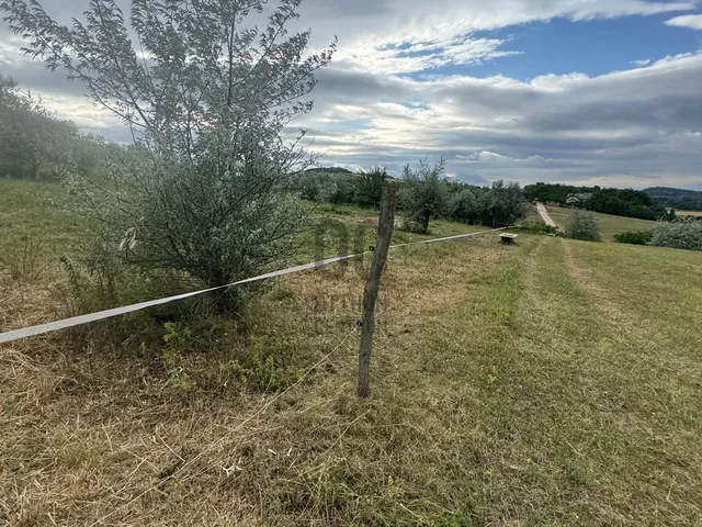 Eladó telek Piliscsaba, Álomvölgy 4015 nm