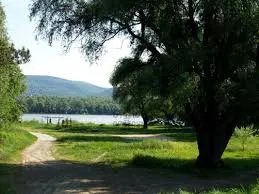Eladó telek Kismaros 713 nm