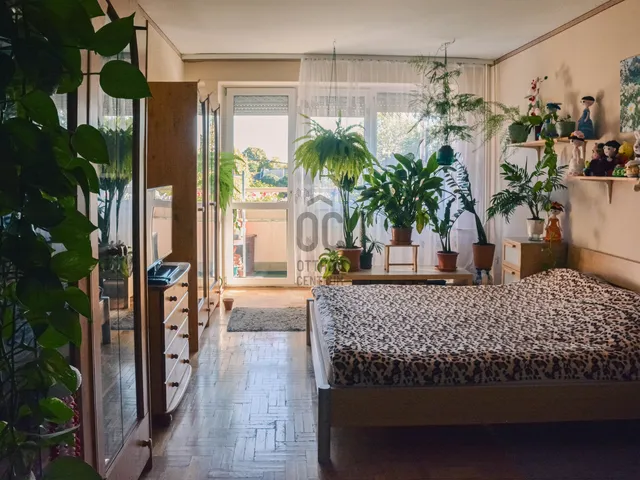 Eladó lakás Budapest XIV. kerület, Alsórákos 53 nm