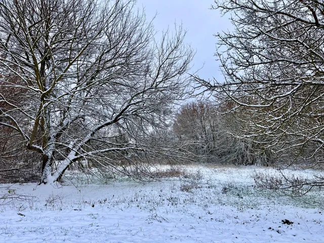 Eladó telek Fót, Fótújfalu 3000 nm