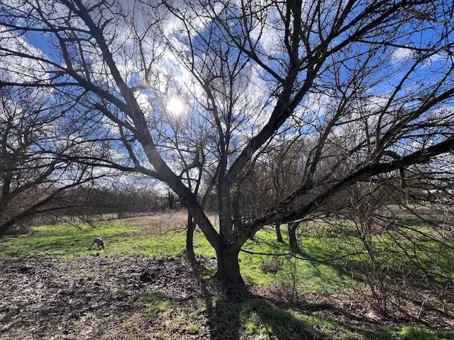 Eladó telek Fót, Fótújfalu 3000 nm