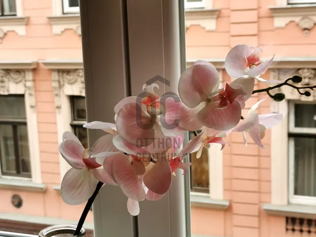 Eladó lakás Budapest VIII. kerület 31 nm