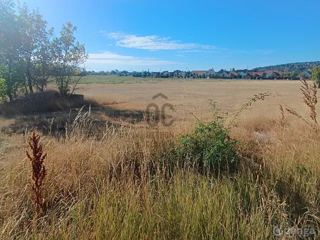 Eladó mezőgazdasági ingatlan Budakalász 5740 nm