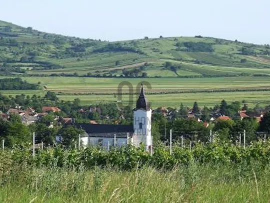 Eladó telek Bodrogkeresztúr 8253 nm