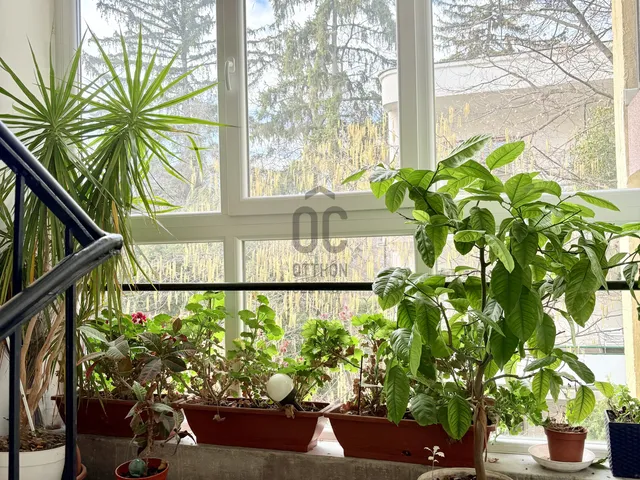 Eladó lakás Budapest II. kerület, Törökvész 72 nm