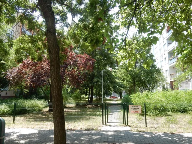 Eladó lakás Budapest XIII. kerület, Angyalföld 62 nm