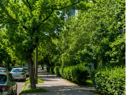 Eladó lakás Budapest XIII. kerület, Angyalföld 54 nm