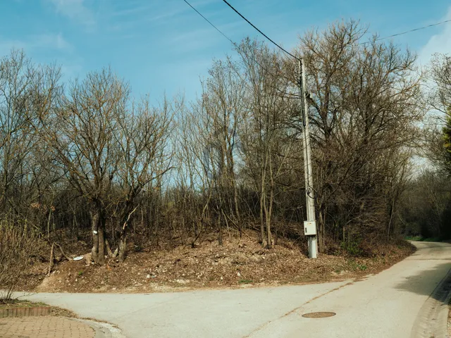 Eladó telek Balatonszőlős 1286 nm