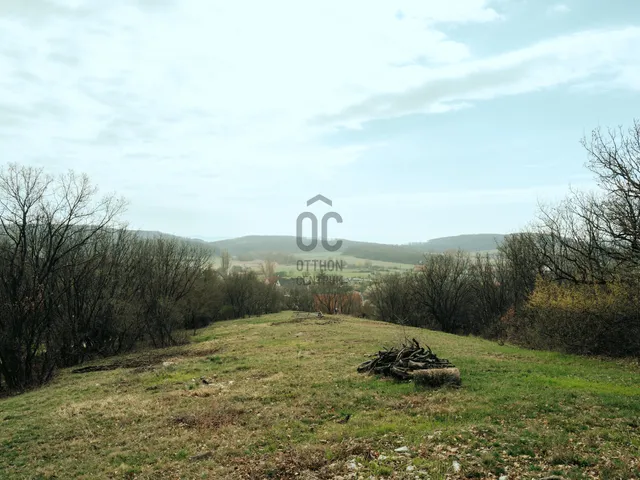 Eladó telek Balatonszőlős 1286 nm