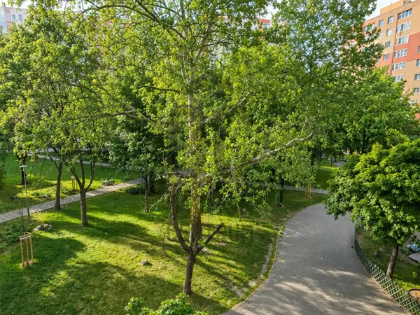 Eladó lakás Budapest XIII. kerület, Angyalföld 58 nm