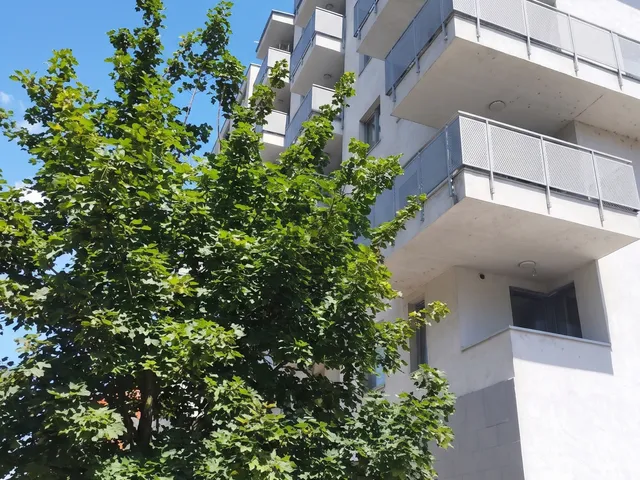 Eladó lakás Budapest XIII. kerület, Vizafogó 43 nm