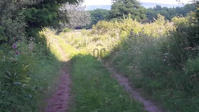 Eladó mezőgazdasági ingatlan Kerepes 1967 nm