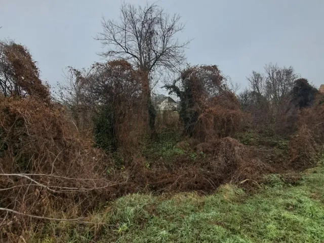 Eladó telek Kocs 1302 nm