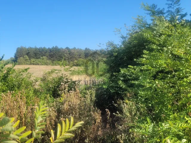 Eladó telek Kerepes 1090 nm