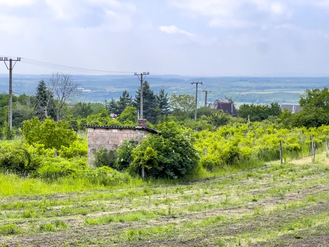 Eladó telek Biatorbágy 2652 nm