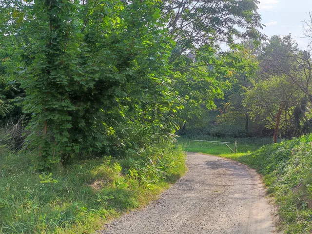 Eladó mezőgazdasági ingatlan Balatonkeresztúr 3581 nm