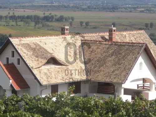 Eladó mezőgazdasági ingatlan Lesencetomaj 85000 nm