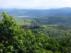 Eladó mezőgazdasági ingatlan Orosztony 100000 nm