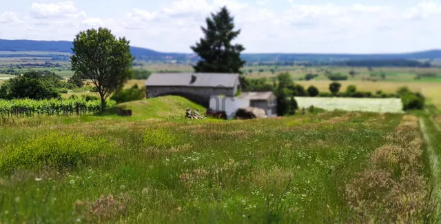 Eladó mezőgazdasági ingatlan Köveskál 4621 nm