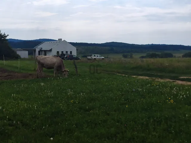 Eladó telek Rezi 955 nm