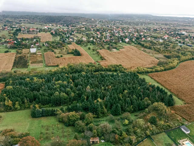 Eladó telek Cserszegtomaj 31405 nm