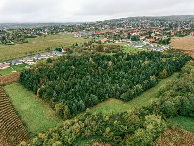 Eladó telek Cserszegtomaj 31405 nm