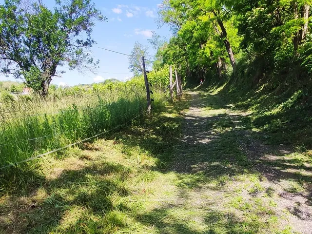 Eladó telek Kékkút 6090 nm